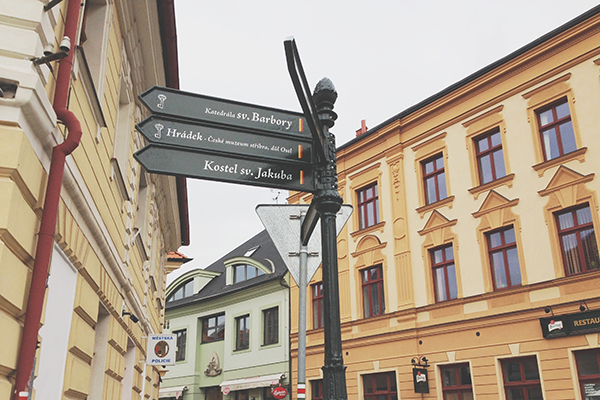 Nowak Tours - Locals Know Best